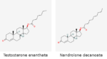 Molecular structures of Testosterone enanthate and Nandrolone decanoate