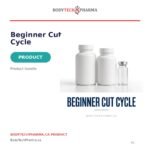 Beginner Cut Cycle - Image 2