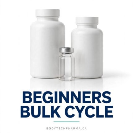 Beginners Bulk Cycle | BodyTechPharma