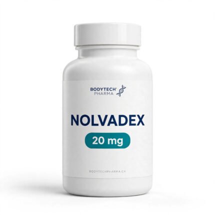 Nolvadex 20mg | BodyTechPharma
